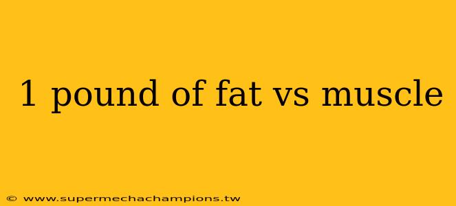 1 pound of fat vs muscle