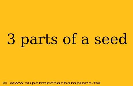 3 parts of a seed