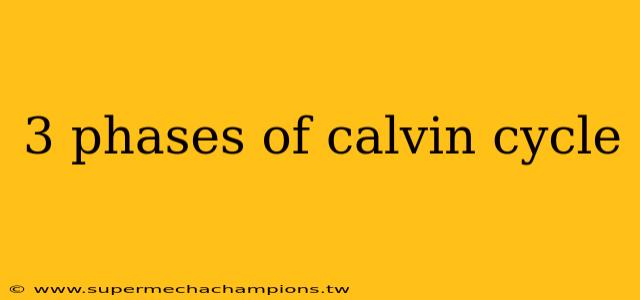 3 phases of calvin cycle