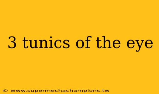 3 tunics of the eye