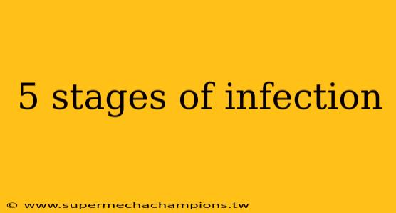 5 stages of infection