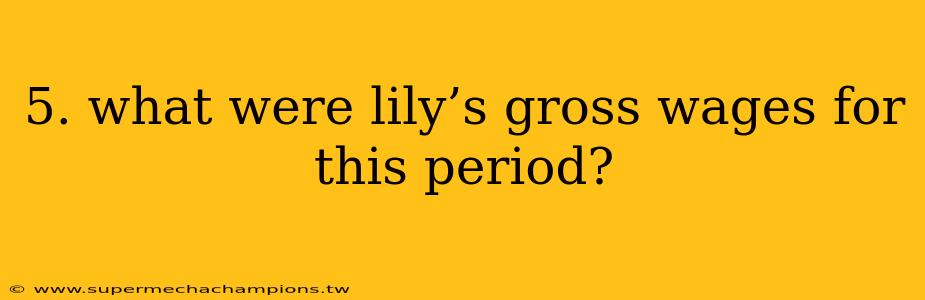 5. what were lily’s gross wages for this period?