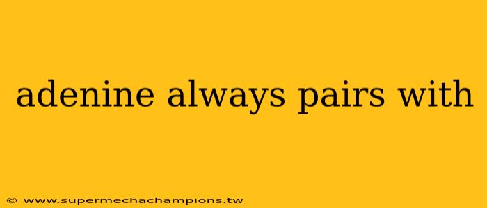 adenine always pairs with