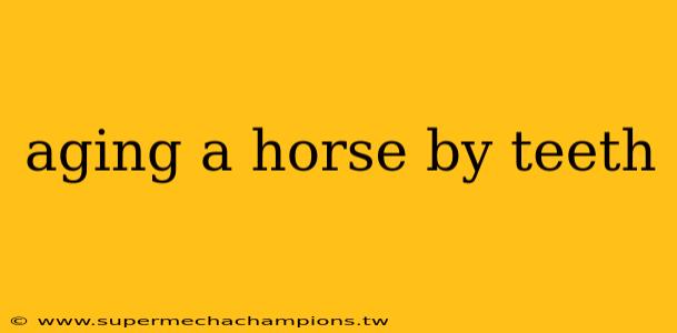 aging a horse by teeth