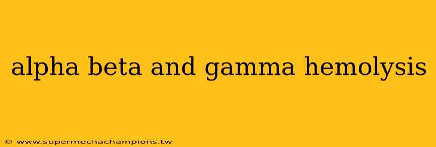 alpha beta and gamma hemolysis