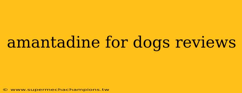 amantadine for dogs reviews