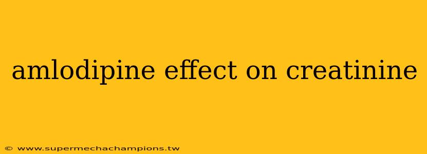 amlodipine effect on creatinine