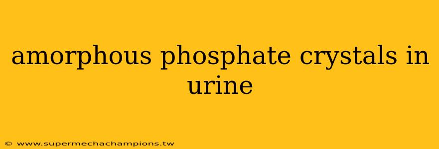 amorphous phosphate crystals in urine
