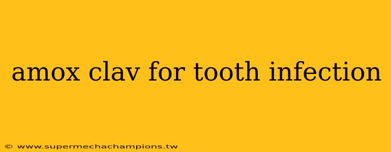 amox clav for tooth infection