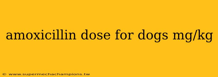 amoxicillin dose for dogs mg/kg