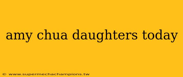 amy chua daughters today