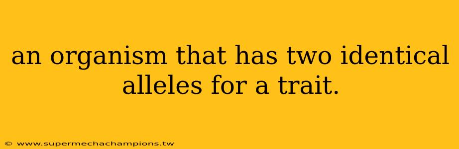 an organism that has two identical alleles for a trait.