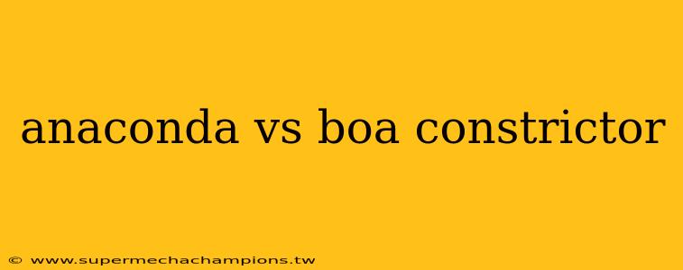 anaconda vs boa constrictor