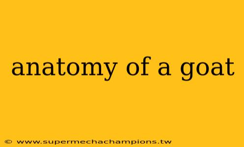 anatomy of a goat