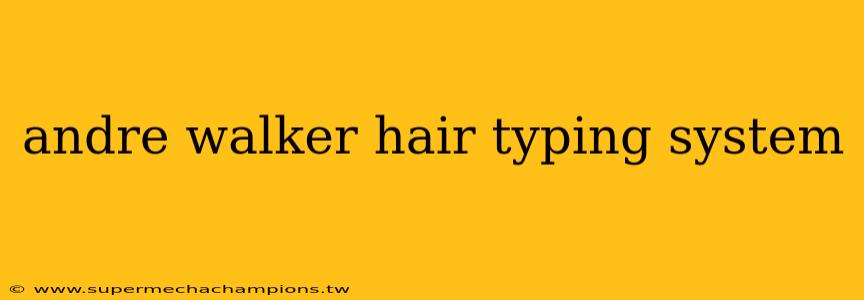 andre walker hair typing system