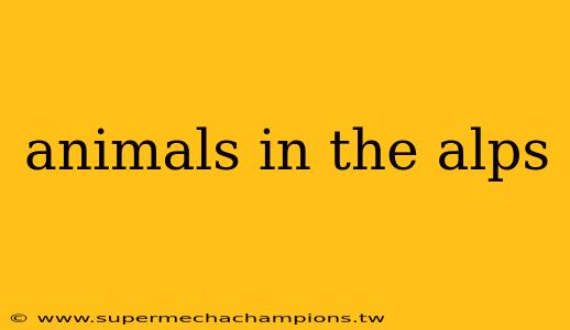 animals in the alps