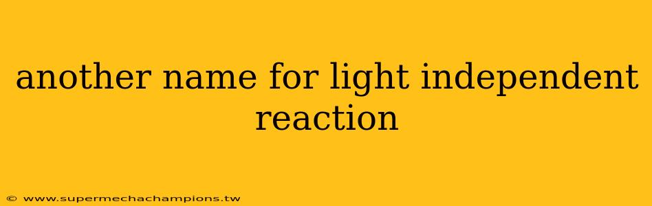 another name for light independent reaction