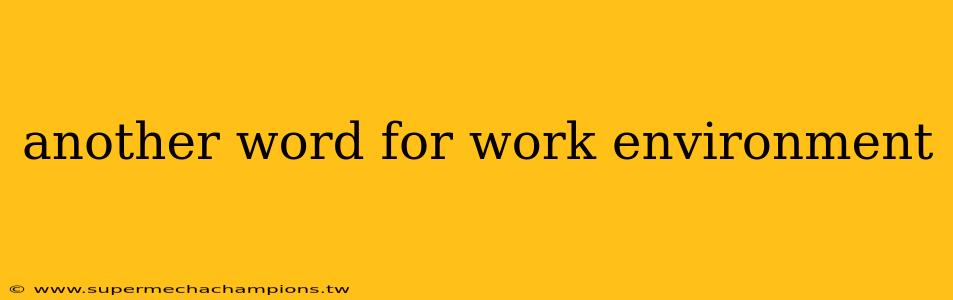 another word for work environment