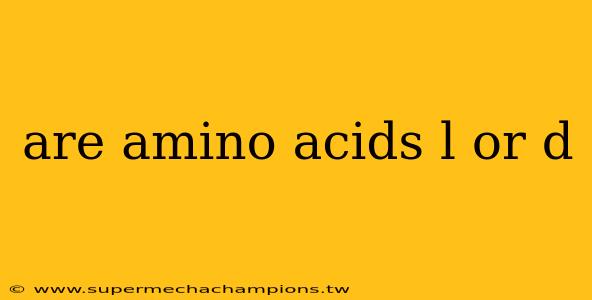 are amino acids l or d