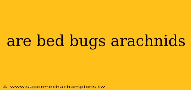 are bed bugs arachnids