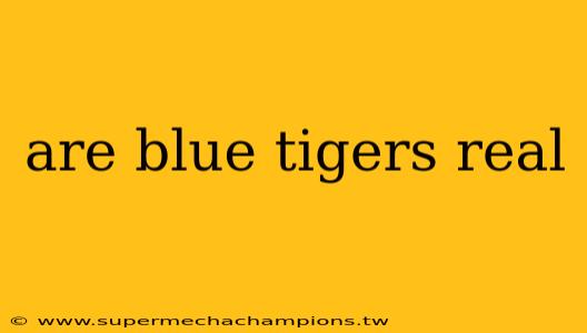 are blue tigers real
