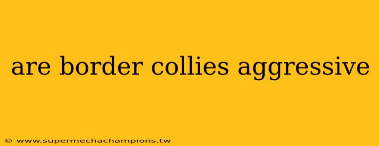 are border collies aggressive