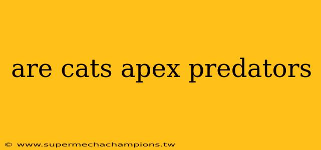 are cats apex predators