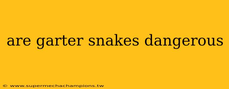 are garter snakes dangerous