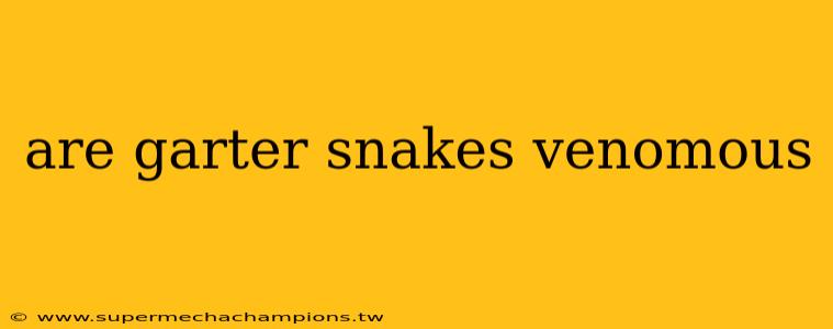 are garter snakes venomous