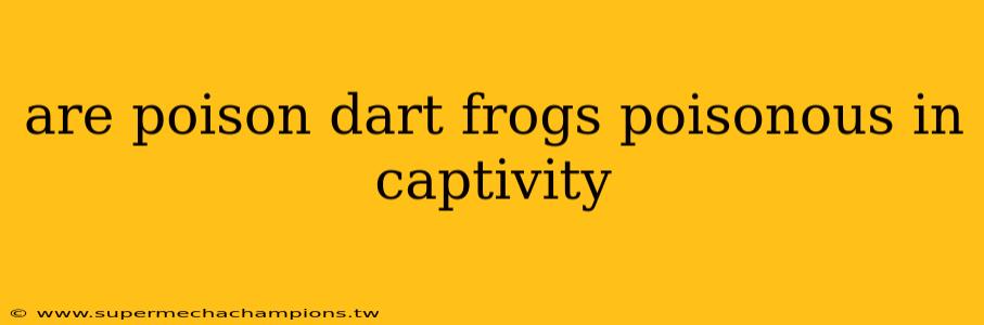 are poison dart frogs poisonous in captivity