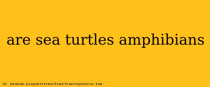 are sea turtles amphibians