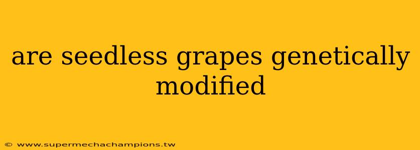 are seedless grapes genetically modified