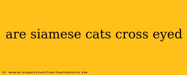 are siamese cats cross eyed