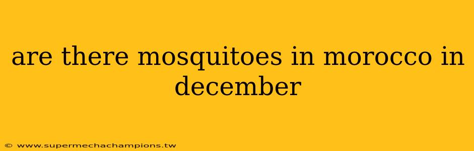 are there mosquitoes in morocco in december