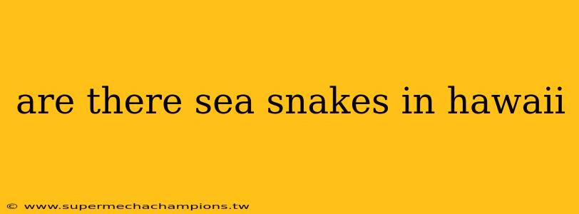 are there sea snakes in hawaii
