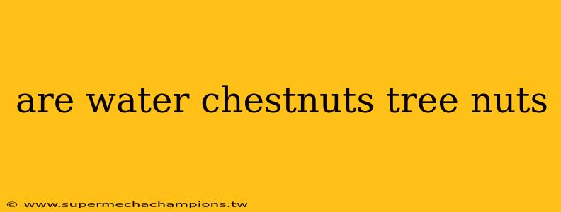 are water chestnuts tree nuts
