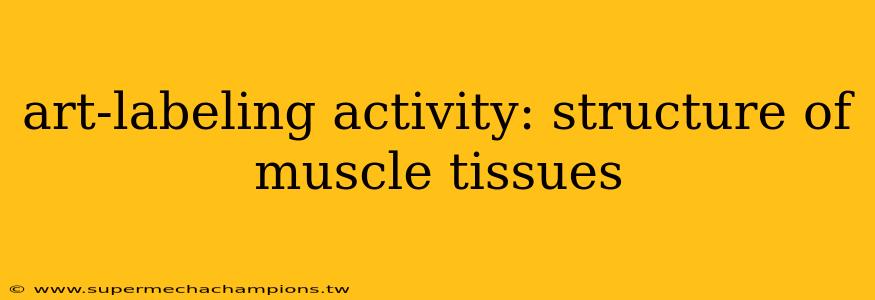 art-labeling activity: structure of muscle tissues