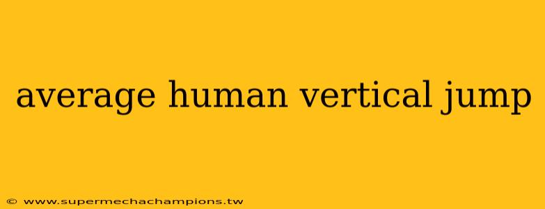 average human vertical jump