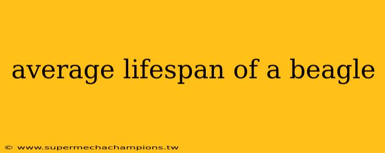 average lifespan of a beagle