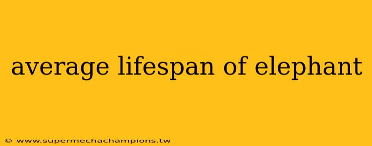 average lifespan of elephant