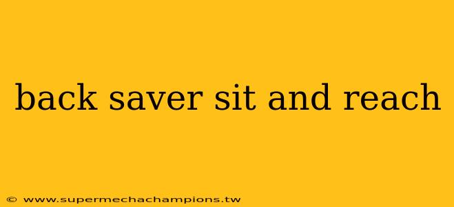 back saver sit and reach