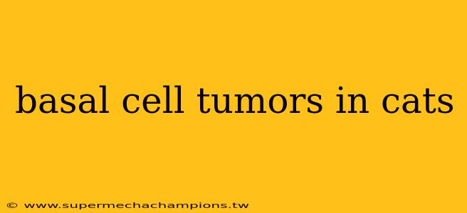 basal cell tumors in cats