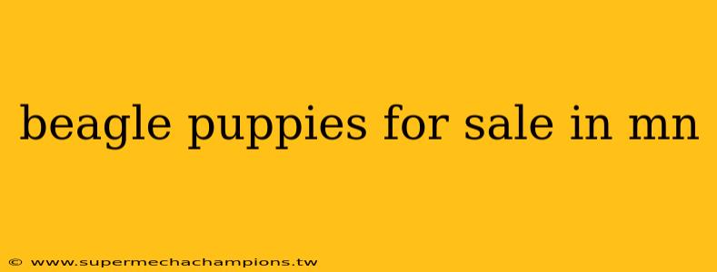 beagle puppies for sale in mn