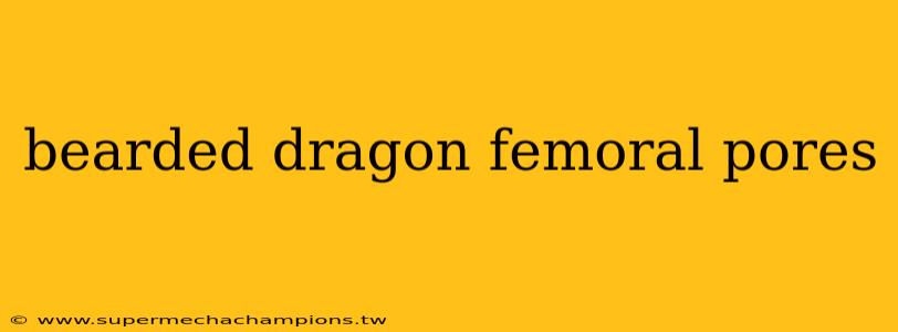 bearded dragon femoral pores