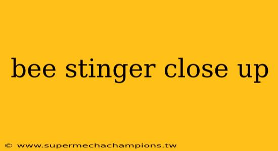 bee stinger close up