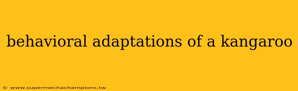 behavioral adaptations of a kangaroo