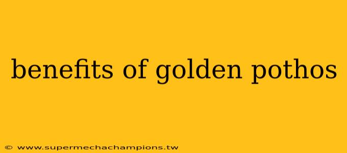 benefits of golden pothos