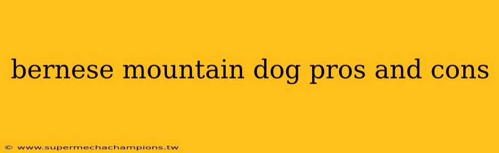 bernese mountain dog pros and cons