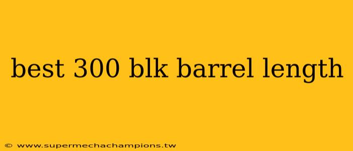 best 300 blk barrel length