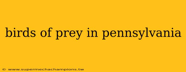 birds of prey in pennsylvania